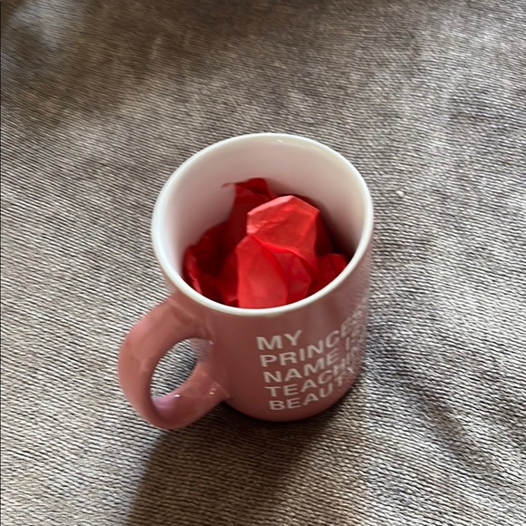 NWT Pink Mug with Fun Teaching Quote- “My Princess Name is Teaching Beauty” - Picture 4 of 4